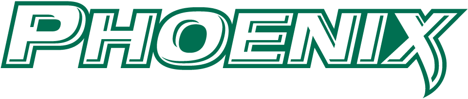 Wisconsin-Green Bay Phoenix 2011-Pres Wordmark Logo diy DTF decal sticker